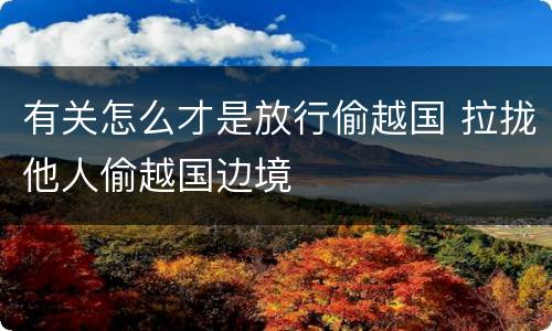 有关怎么才是放行偷越国 拉拢他人偷越国边境
