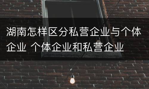 湖南怎样区分私营企业与个体企业 个体企业和私营企业
