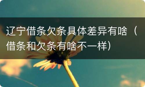 辽宁借条欠条具体差异有啥（借条和欠条有啥不一样）