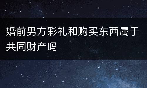 婚前男方彩礼和购买东西属于共同财产吗