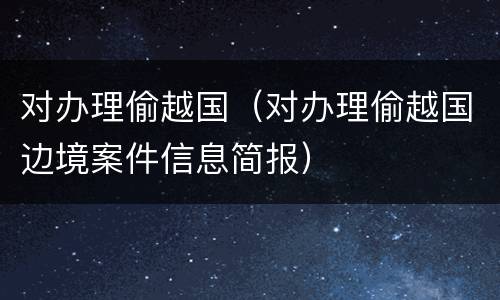 对办理偷越国（对办理偷越国边境案件信息简报）