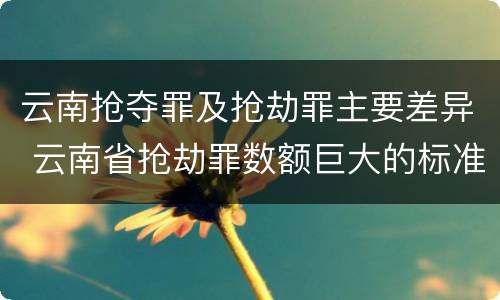 云南抢夺罪及抢劫罪主要差异 云南省抢劫罪数额巨大的标准