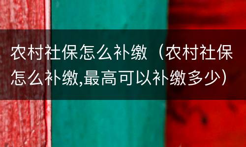 农村社保怎么补缴（农村社保怎么补缴,最高可以补缴多少）