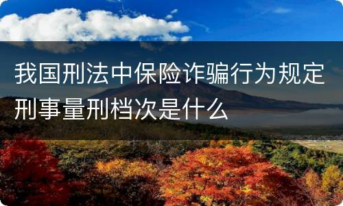 我国刑法中保险诈骗行为规定刑事量刑档次是什么