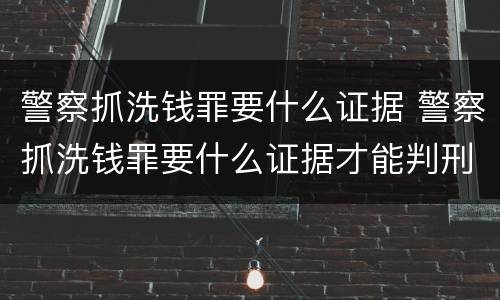 警察抓洗钱罪要什么证据 警察抓洗钱罪要什么证据才能判刑