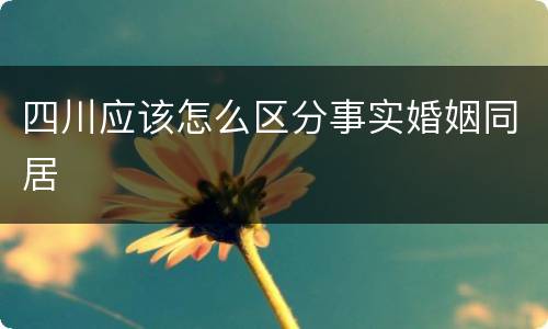 四川应该怎么区分事实婚姻同居