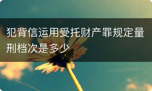 犯背信运用受托财产罪规定量刑档次是多少