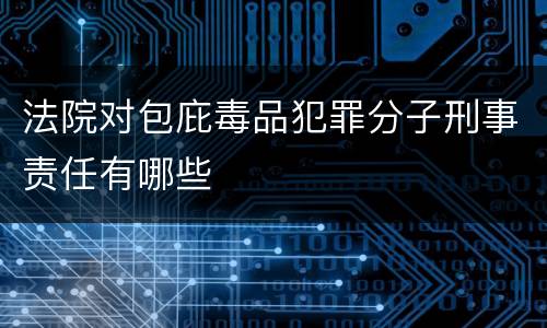 法院对包庇毒品犯罪分子刑事责任有哪些