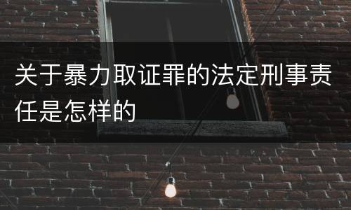 关于暴力取证罪的法定刑事责任是怎样的