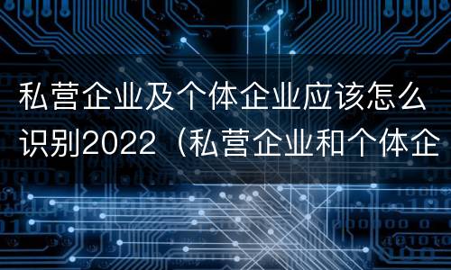 私营企业及个体企业应该怎么识别2022（私营企业和个体企业）