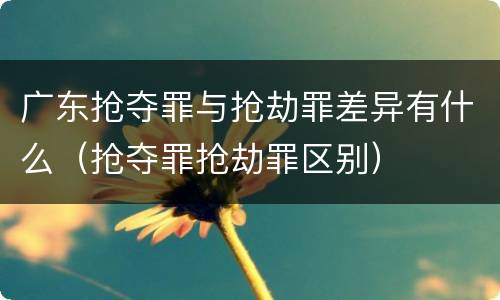 广东抢夺罪与抢劫罪差异有什么（抢夺罪抢劫罪区别）