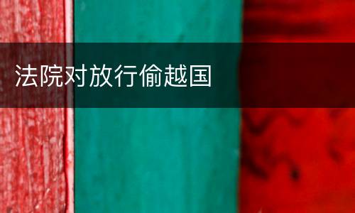 法院对放行偷越国