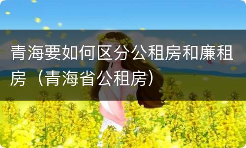 青海要如何区分公租房和廉租房（青海省公租房）