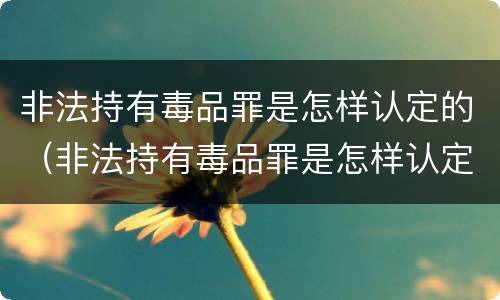 非法持有毒品罪是怎样认定的（非法持有毒品罪是怎样认定的罪名）