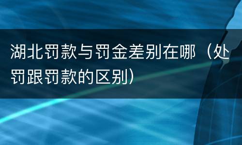 湖北罚款与罚金差别在哪（处罚跟罚款的区别）