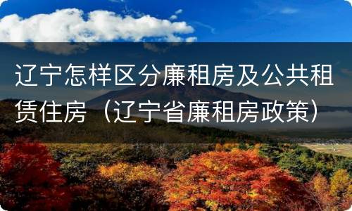 辽宁怎样区分廉租房及公共租赁住房（辽宁省廉租房政策）