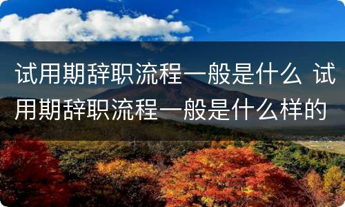 试用期辞职流程一般是什么 试用期辞职流程一般是什么样的