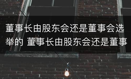 董事长由股东会还是董事会选举的 董事长由股东会还是董事会选举的决定