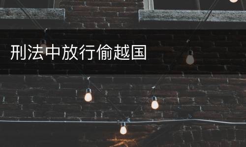 刑法中放行偷越国