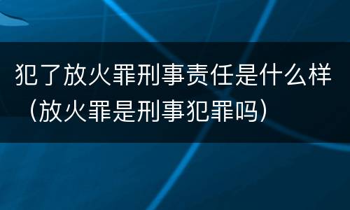 犯了放火罪刑事责任是什么样（放火罪是刑事犯罪吗）