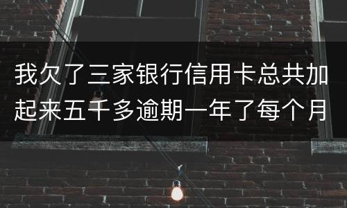 我欠了三家银行信用卡总共加起来五千多逾期一年了每个月都有还一点会不会坐牢