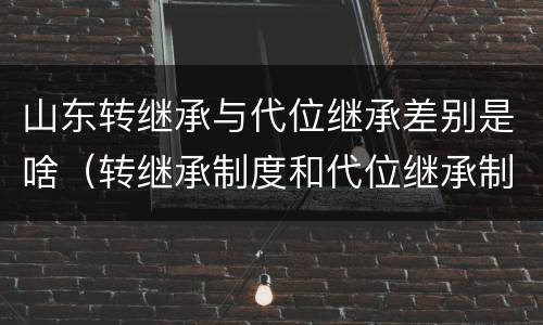 山东转继承与代位继承差别是啥（转继承制度和代位继承制度可以互相取代吗）