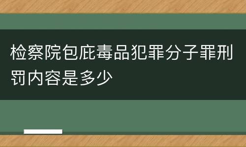 检察院包庇毒品犯罪分子罪刑罚内容是多少