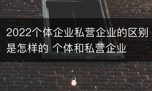 2022个体企业私营企业的区别是怎样的 个体和私营企业