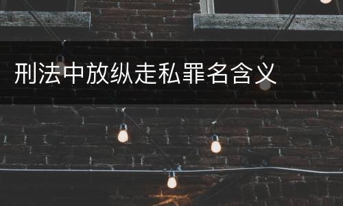 刑法中放纵走私罪名含义