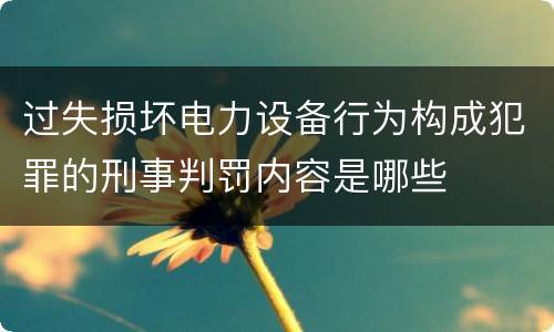 过失损坏电力设备行为构成犯罪的刑事判罚内容是哪些