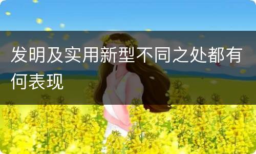 发明及实用新型不同之处都有何表现