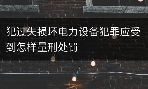 犯过失损坏电力设备犯罪应受到怎样量刑处罚