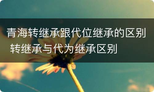 青海转继承跟代位继承的区别 转继承与代为继承区别