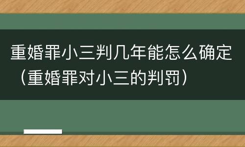 重婚罪小三判几年能怎么确定（重婚罪对小三的判罚）