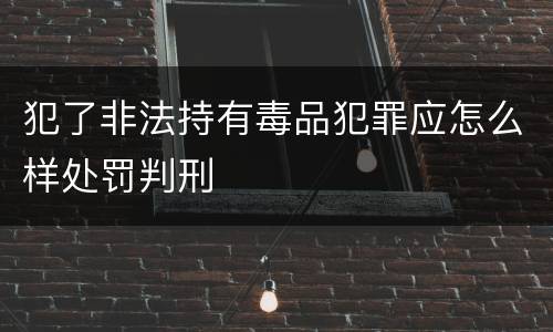 犯了非法持有毒品犯罪应怎么样处罚判刑