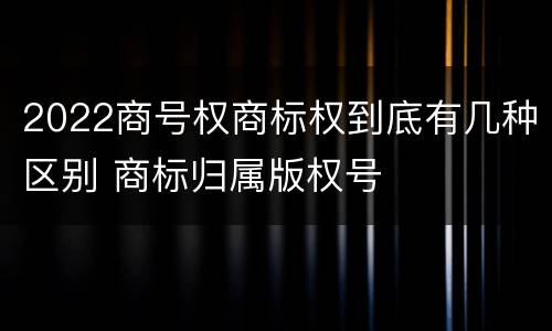 2022商号权商标权到底有几种区别 商标归属版权号