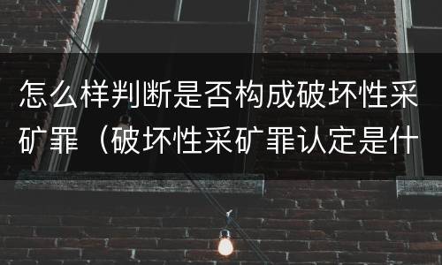 怎么样判断是否构成破坏性采矿罪（破坏性采矿罪认定是什么）