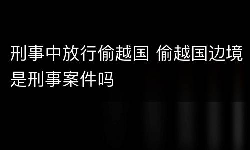 刑事中放行偷越国 偷越国边境是刑事案件吗