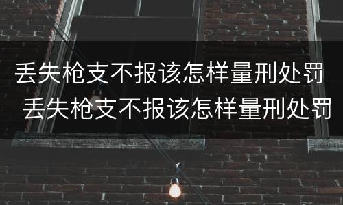 丢失枪支不报该怎样量刑处罚 丢失枪支不报该怎样量刑处罚决定书