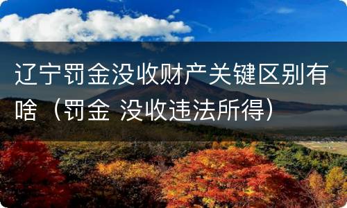 辽宁罚金没收财产关键区别有啥（罚金 没收违法所得）