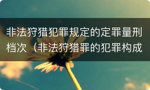 非法狩猎犯罪规定的定罪量刑档次（非法狩猎罪的犯罪构成）