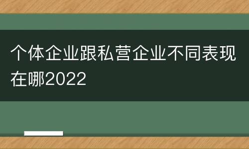 个体企业跟私营企业不同表现在哪2022