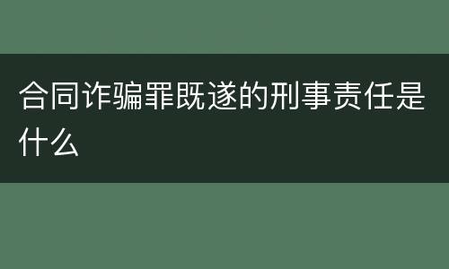 合同诈骗罪既遂的刑事责任是什么