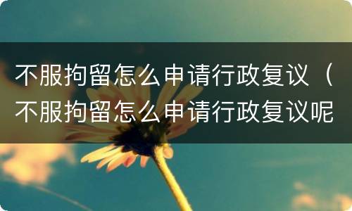 不服拘留怎么申请行政复议（不服拘留怎么申请行政复议呢）