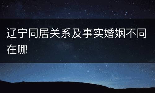 辽宁同居关系及事实婚姻不同在哪