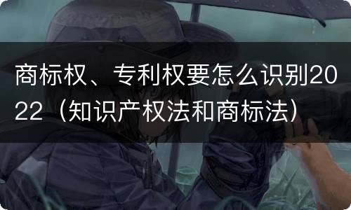 商标权、专利权要怎么识别2022（知识产权法和商标法）