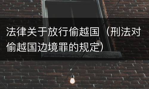 法律关于放行偷越国（刑法对偷越国边境罪的规定）
