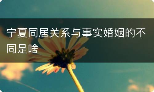 宁夏同居关系与事实婚姻的不同是啥