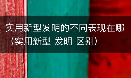 实用新型发明的不同表现在哪（实用新型 发明 区别）