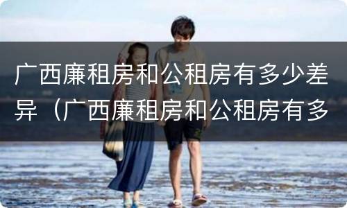 广西廉租房和公租房有多少差异（广西廉租房和公租房有多少差异呢）